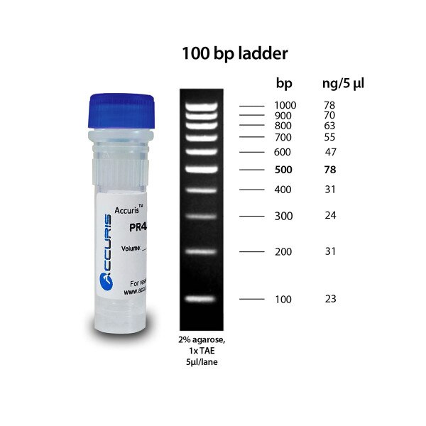 100bp DNA Ladder, 500 uL / 100 lanes Azer Scientific